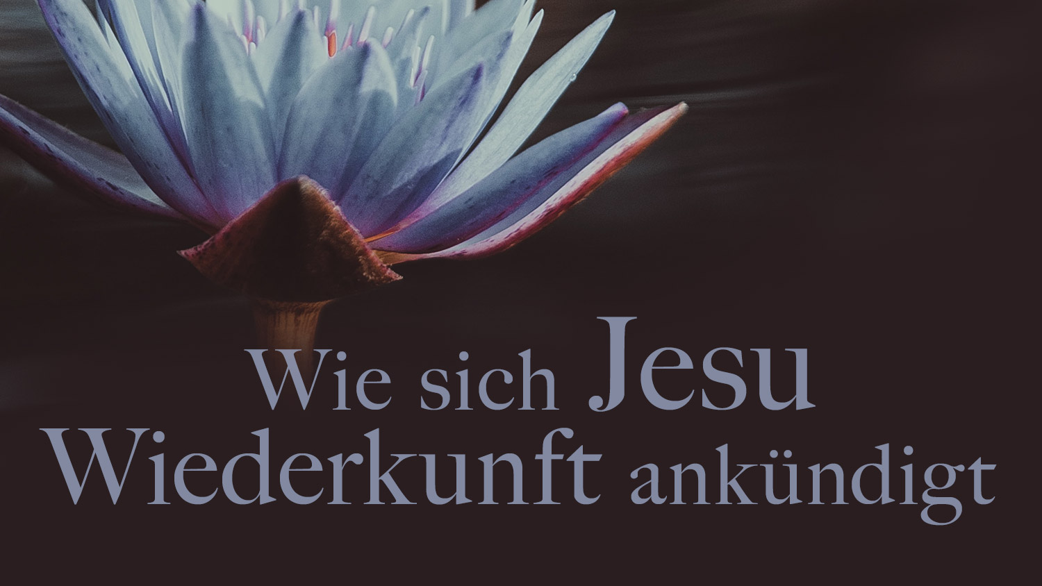 Wie oft kommt Jesus wieder?